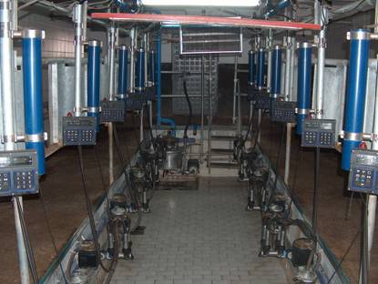 Modern bir sa??m sistemi